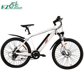 Electric Bike TDE03